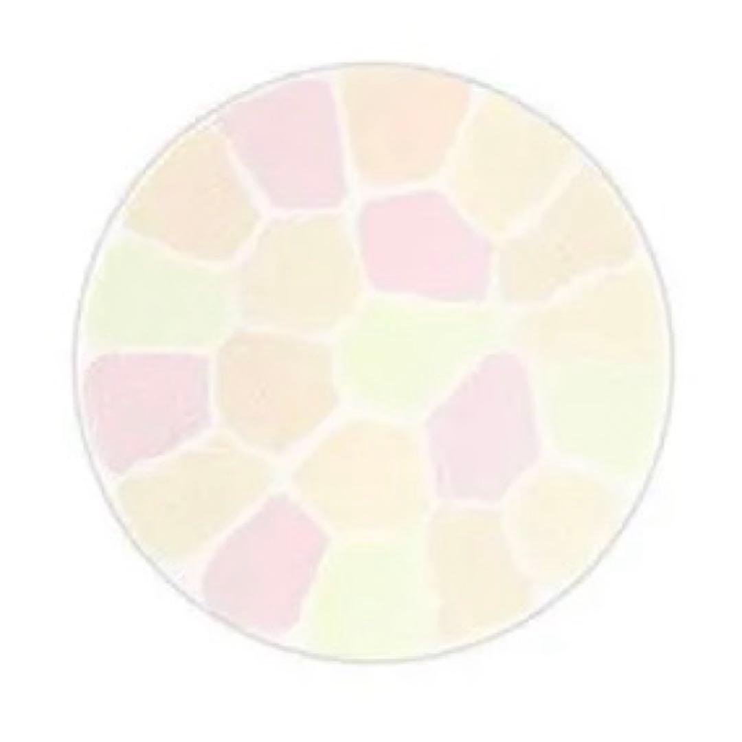 Elegance 35th Anniversaryケース フェイスパウダー06