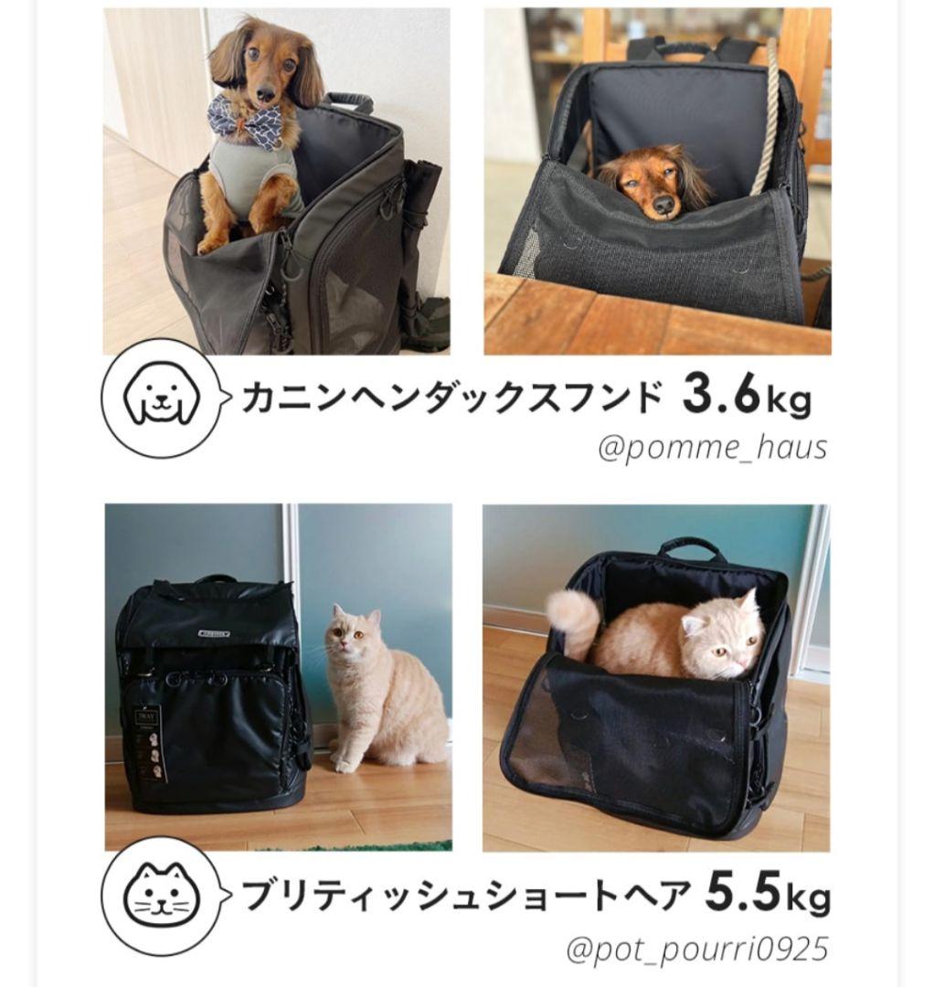 新品✨️エアバギー 3WAYキャリーバックパック リュック犬猫 ペット ブラック