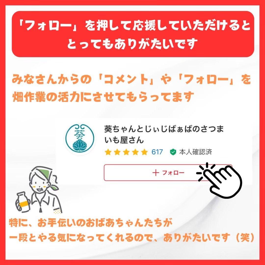 さつまいも『安納芋』