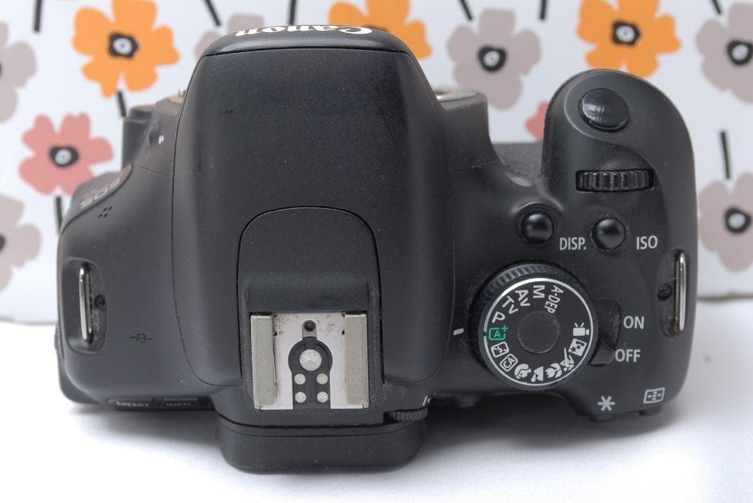 ❤Canon Kiss X5❤入門機にオススメ❤スマホ転送OK❤動画撮影もOK❤