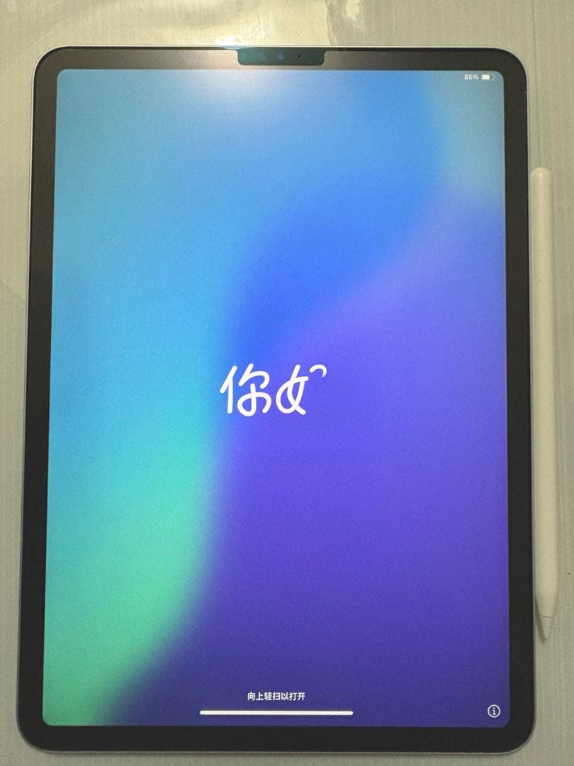 Apple iPad Pro 2018 11インチ pencil セット