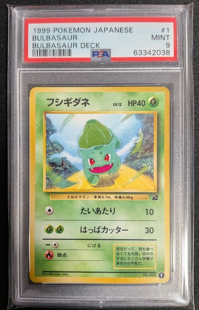 フシギダネ イントロパック 旧裏 PSA9 ポケカ bulbsaur deck