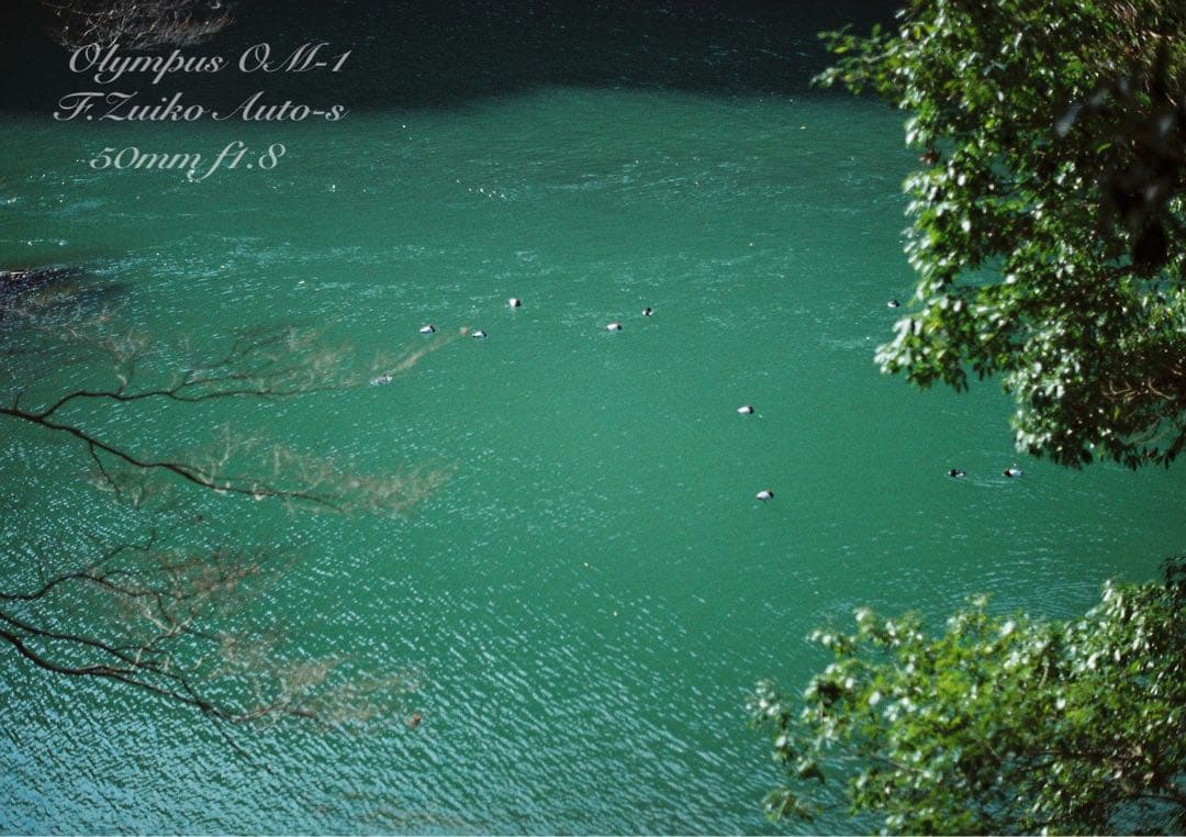 完動品＊美品＊初期保証★OLYMPUS OM-1 ブラック★レンズセット＊作例有