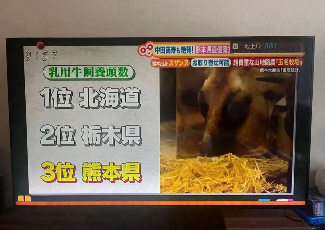 panasonic 65インチ viera 液晶テレビ 4k テレビ 65型