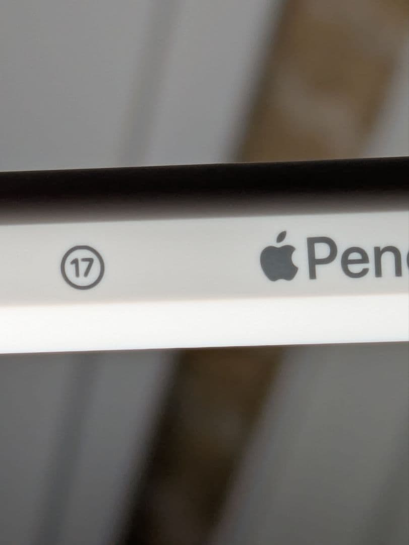 美品 Apple Pencil 第2世代 純正 アップルペンシル