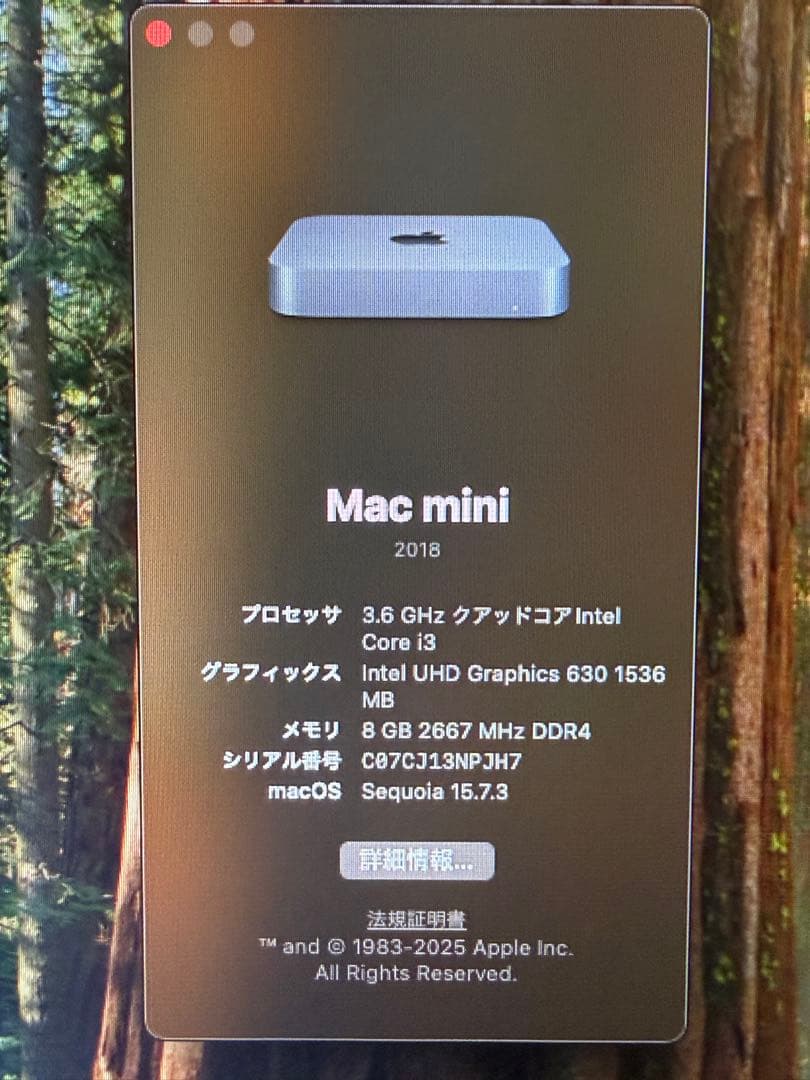 Macデスクトップ Apple Mac mini (2018) i3 / 8GB / 256GB