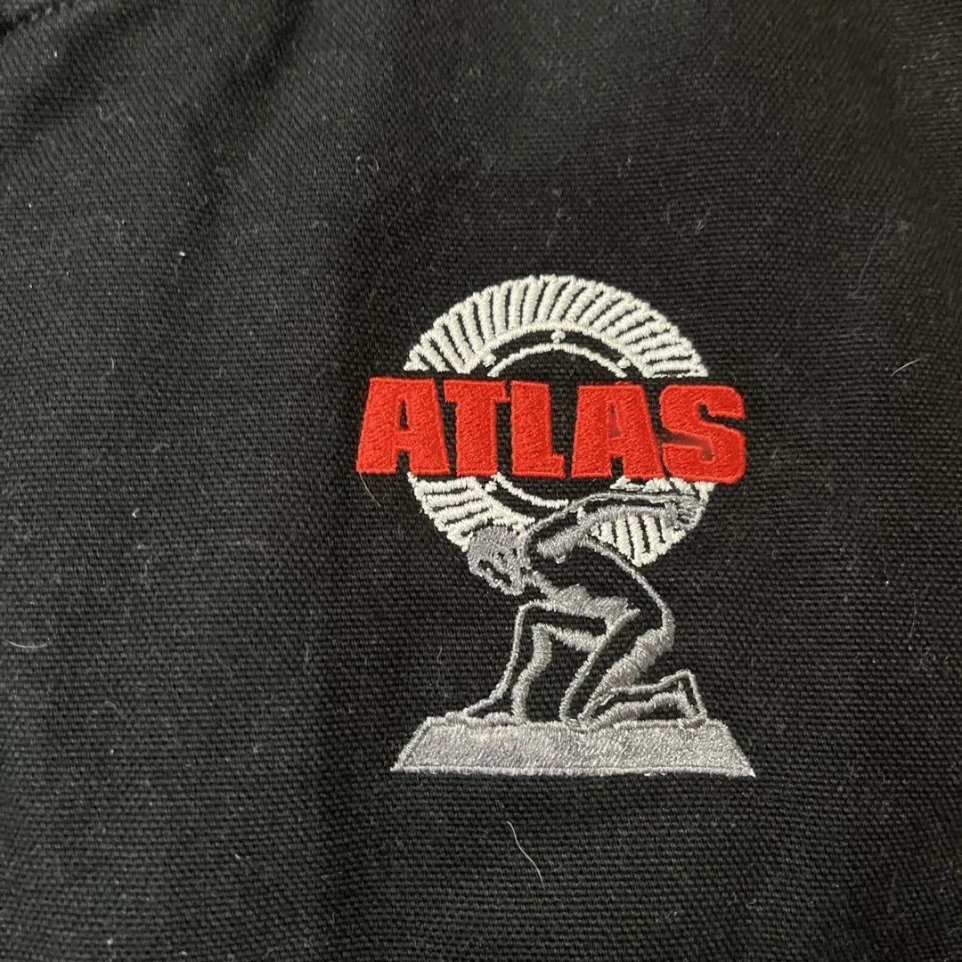 carhartt ブラックダック地ベスト　企業物　サイズL