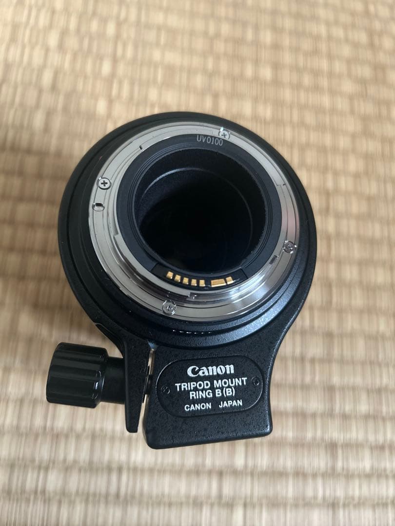 Canon MP-E 65mm マクロフォト