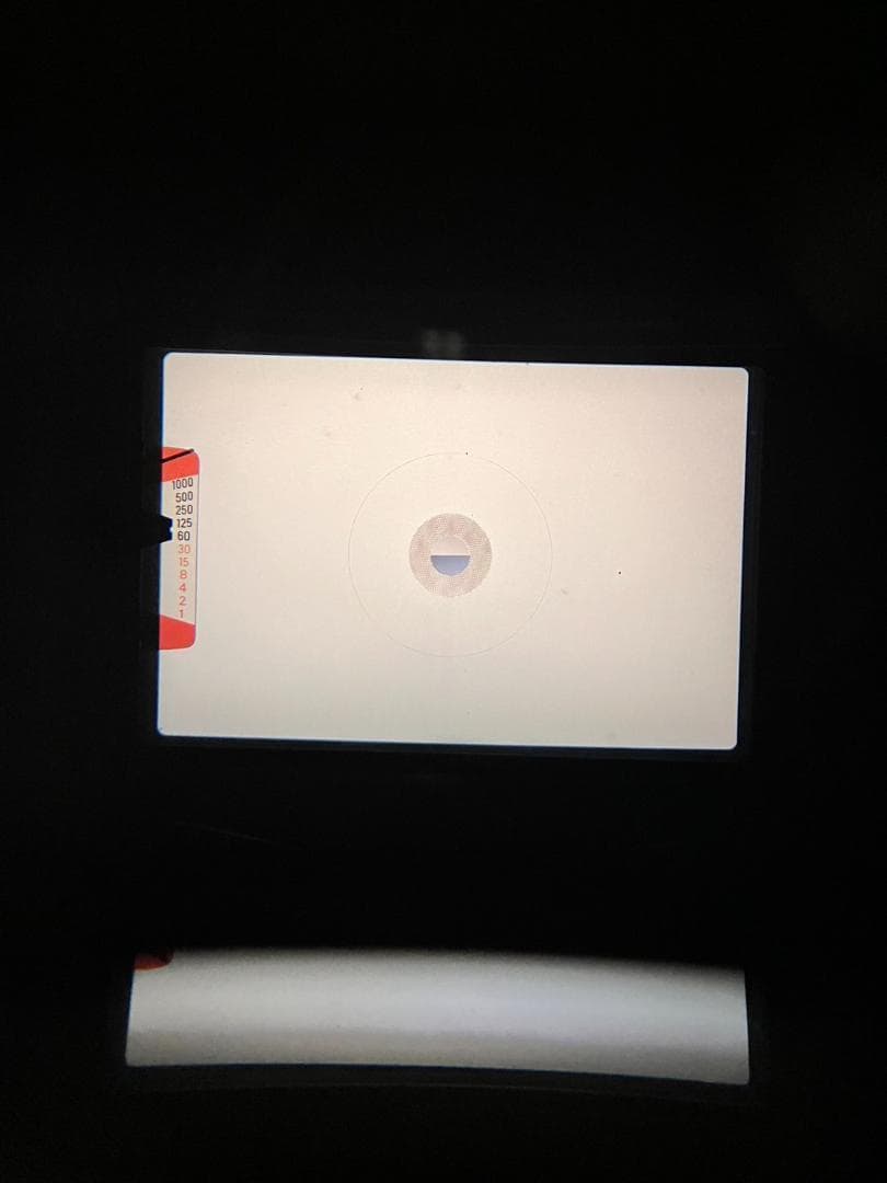 超美品 ニコン 　EM 説明書付 フィルムカメラ　モルト新品交換済 B741N