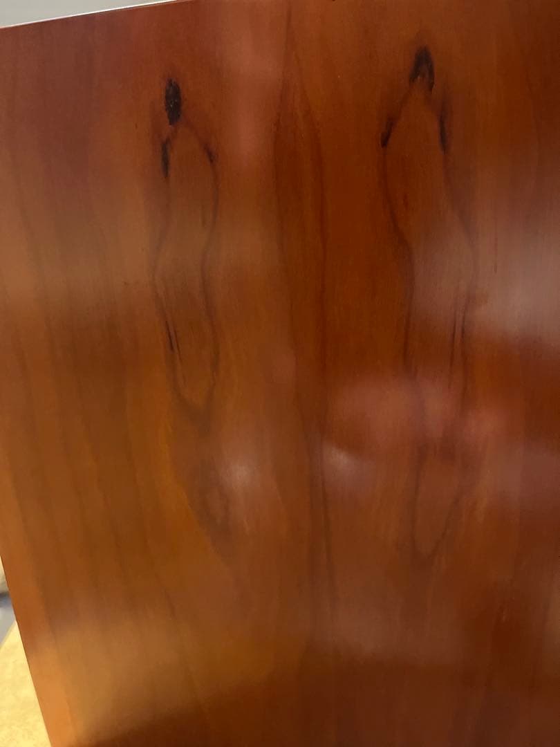 DENON ブックシェルフスピーカー　SC-CX101 ネット無し