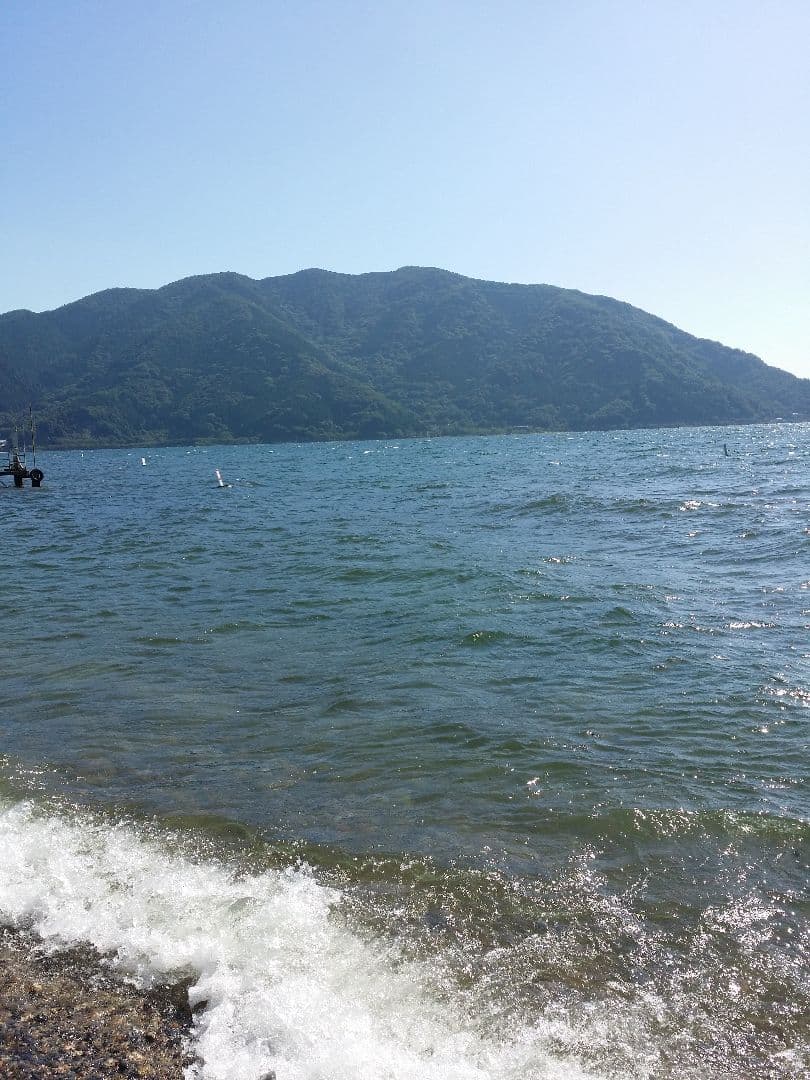 シャイロック❗　10セット