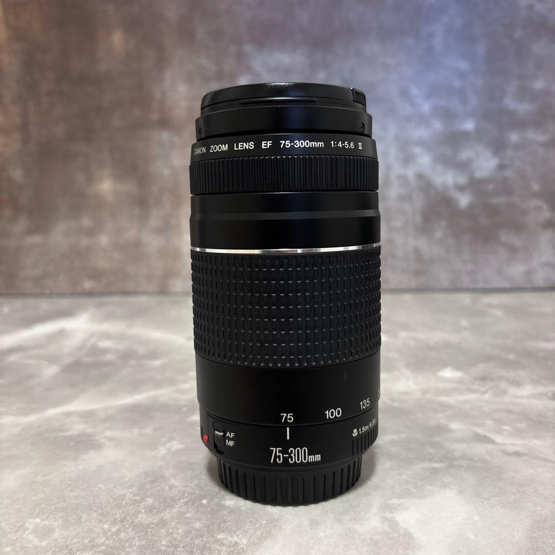 【極上・完動品】Canon EF 75-300mm Ⅲズームレンズ