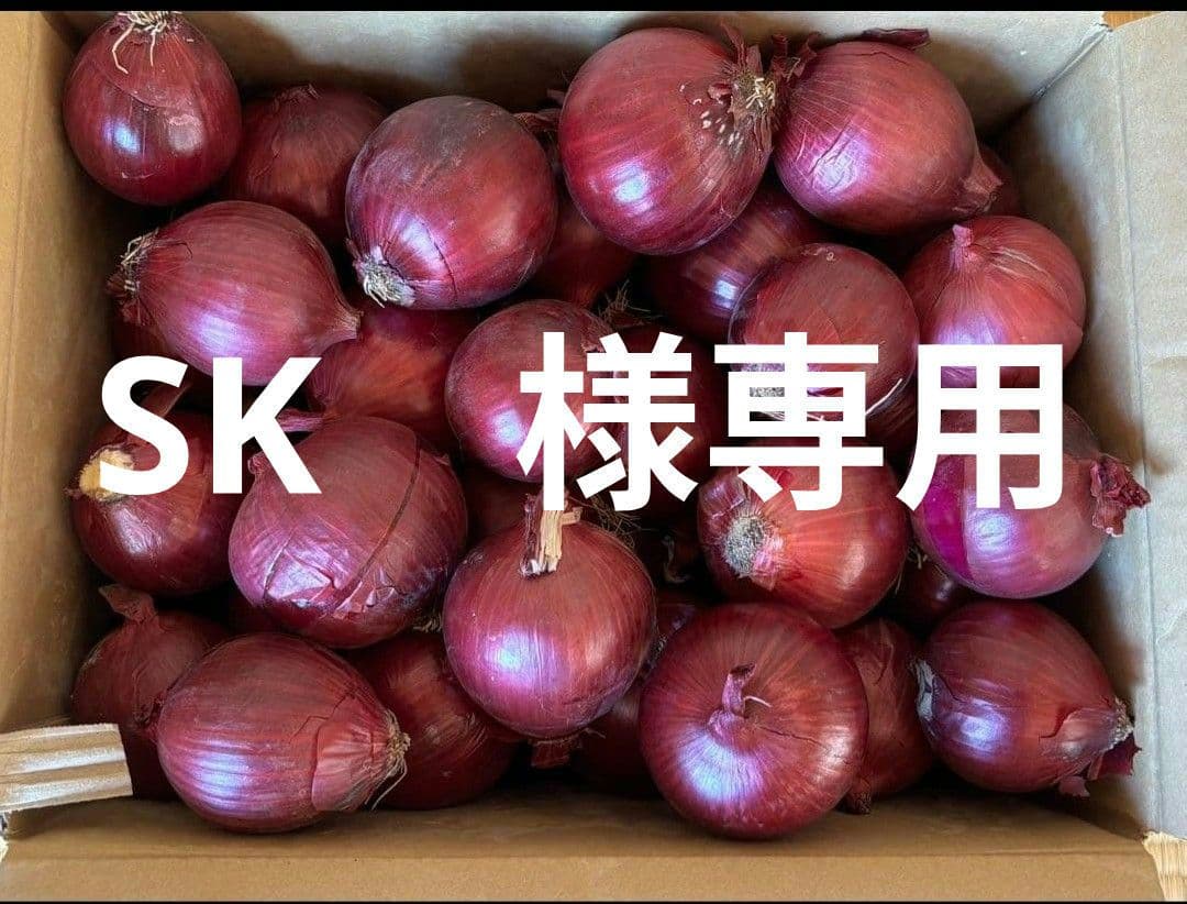 赤玉ねぎ S サイズ 箱込み 20 キロ
