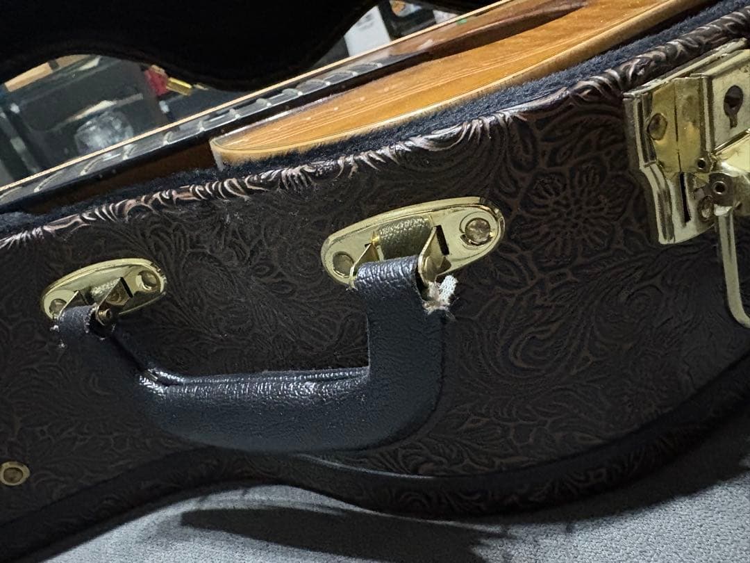 元新品8万円前後Luna Vista Eagle 6弦【ジャンク／修理ベース】