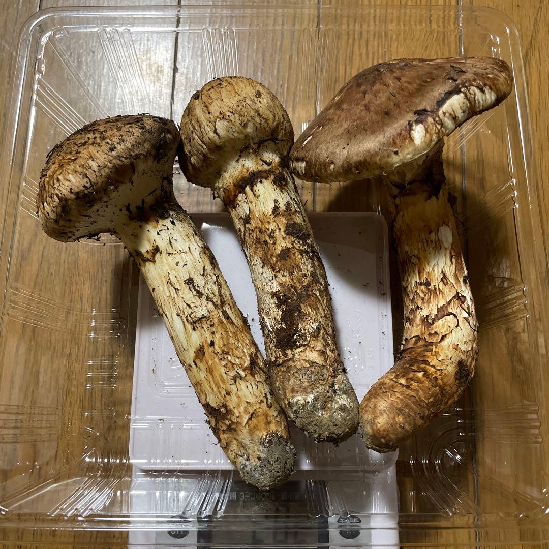 10月14日 岩手県産 松茸282g