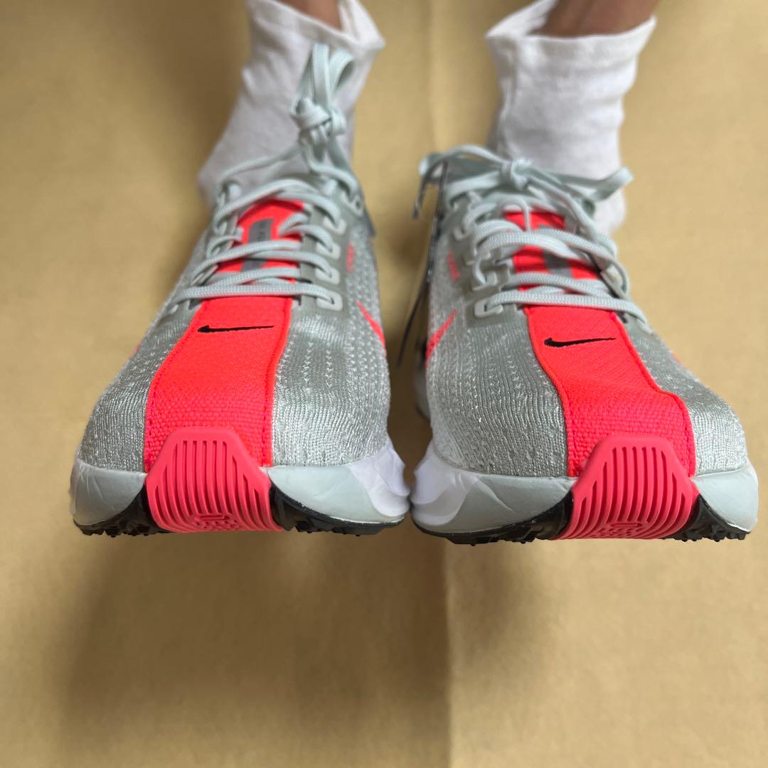 ペガサスプラス