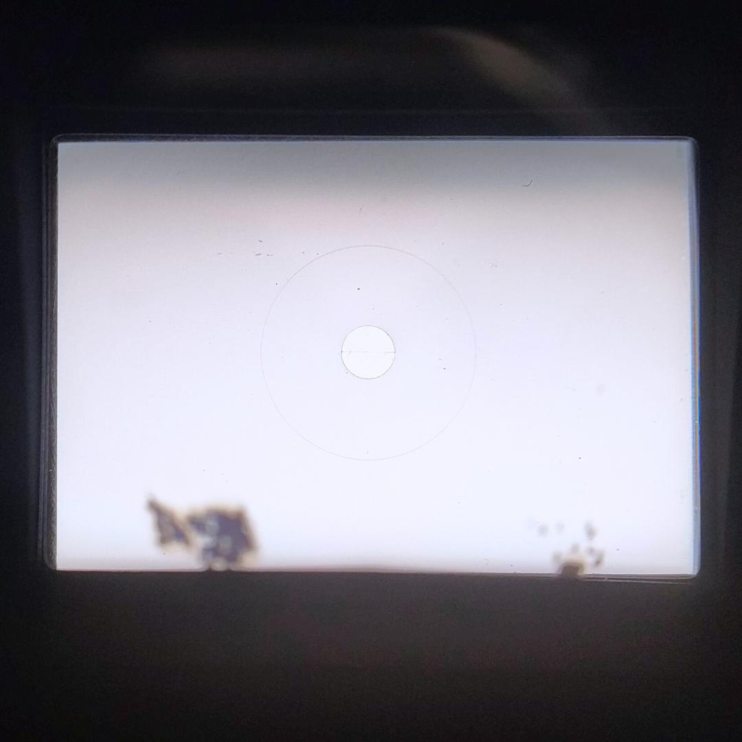 フィルムカメラ Nikon F Black