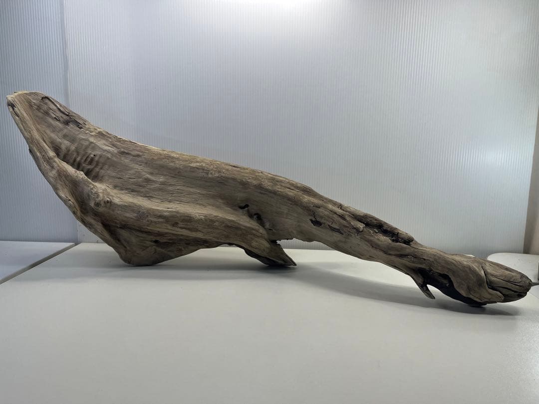 V84特大流木 アク抜き済み流木 爬虫類シェルター 登り木 インテリア 生け花