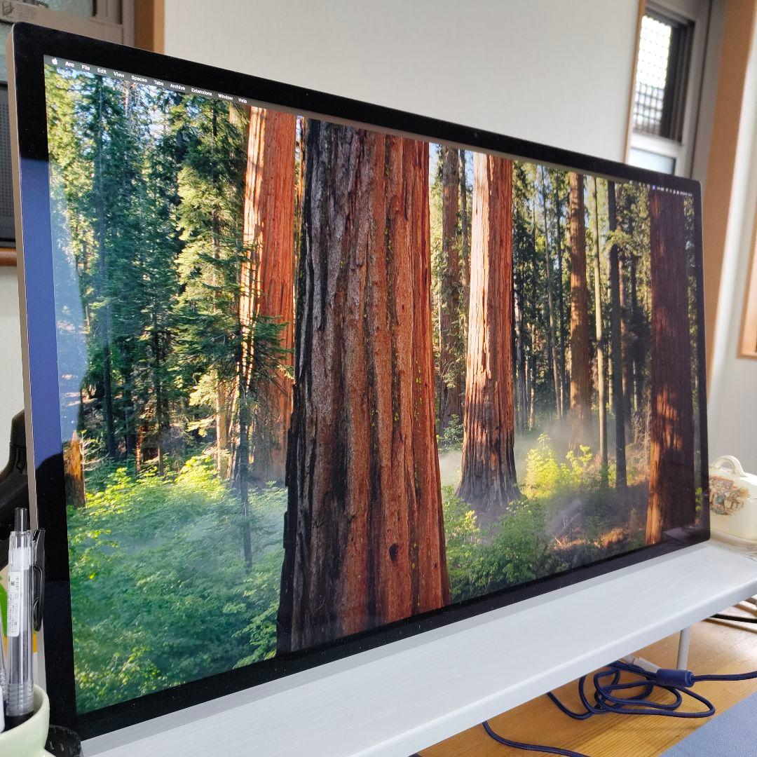 本日限定価格 Apple Studio Display 27インチ VESA