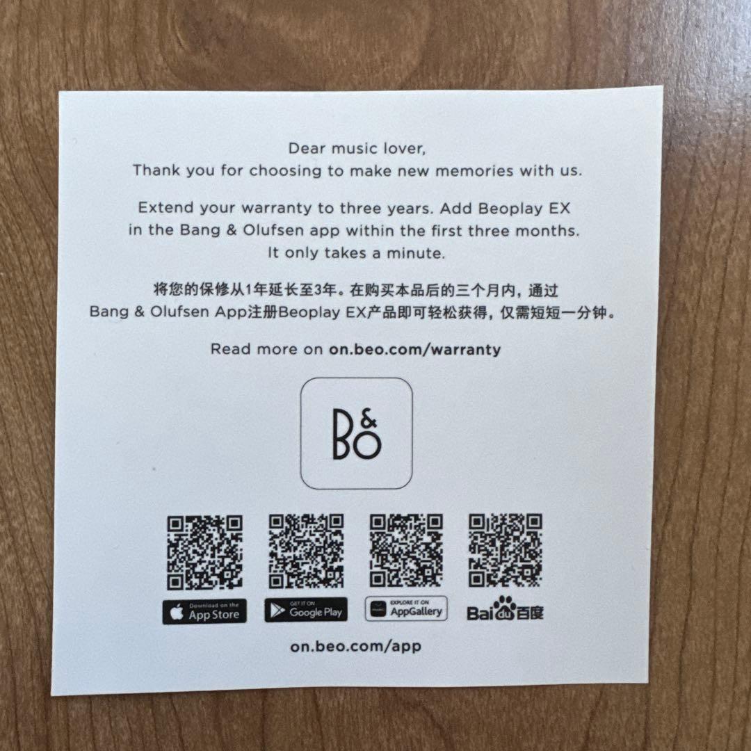 ゲットンさん専用　左耳のみ　Bang&Olfsen BEOPLAY EX