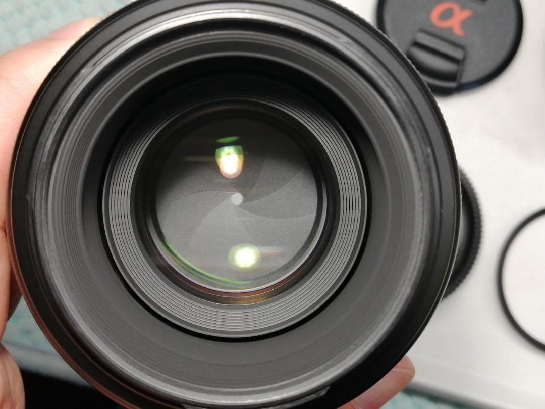 レンズ(単焦点) SONY MACRO 100mm F2.8 SAL100M28 #7384