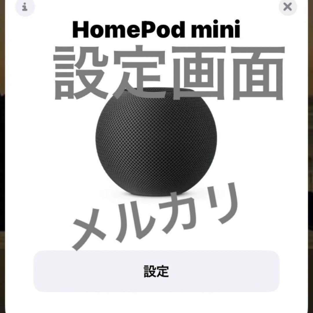 【美品】 Pod mini 2台セット 完動品