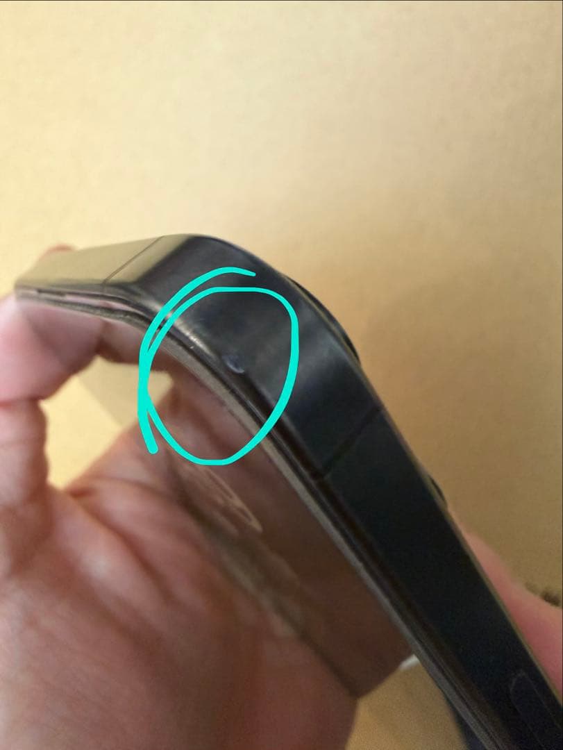 Apple iPhone 15 Pro 256gb シャッター音なし