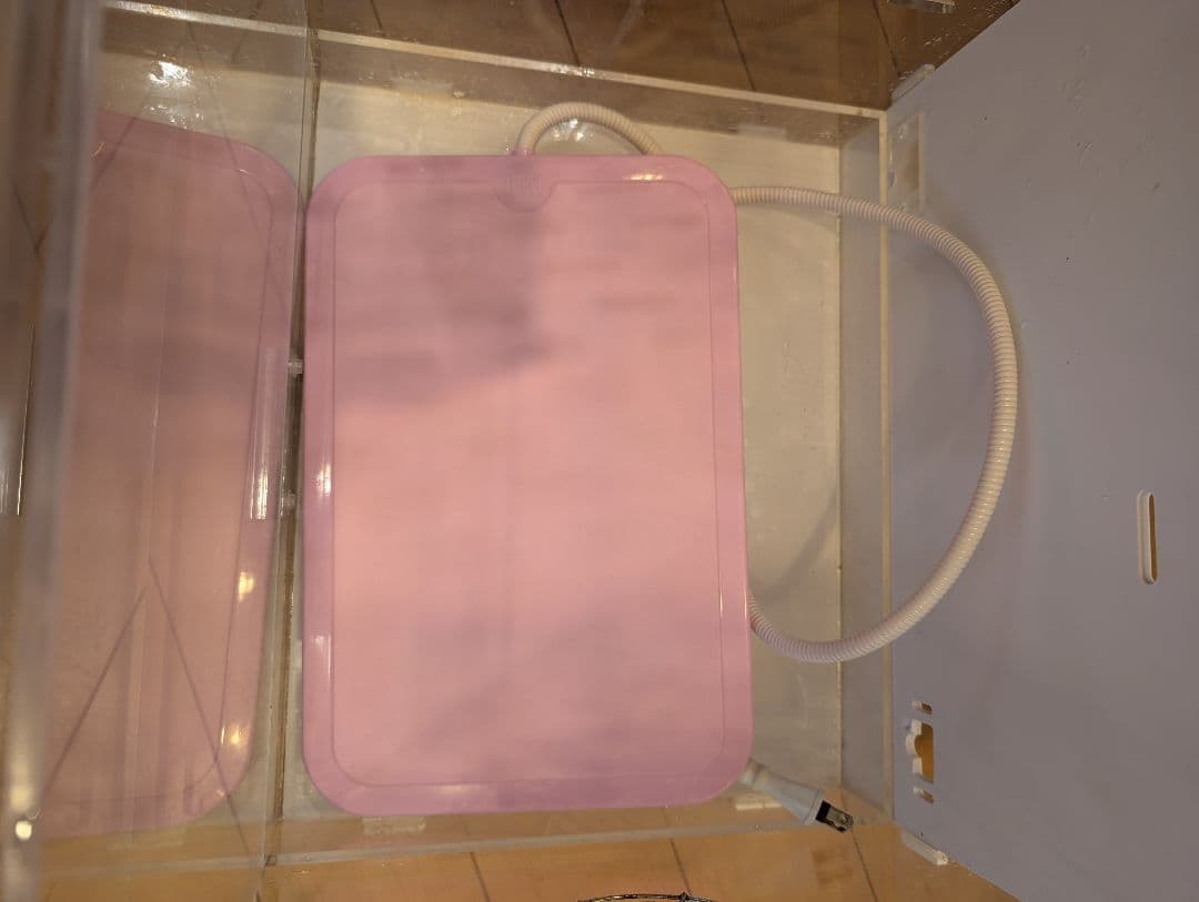 こ*ん様 フクロモモンガ等に　飼育ケージ　おまけヒーターパネル　アクリルケージ