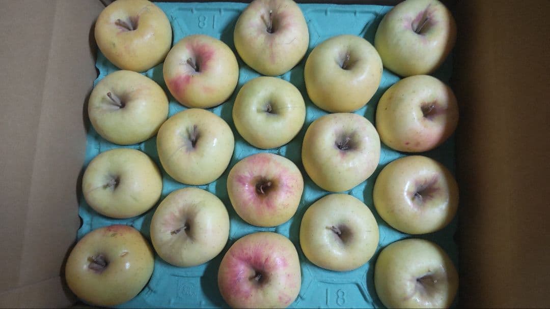 ぐんま名月10キロ