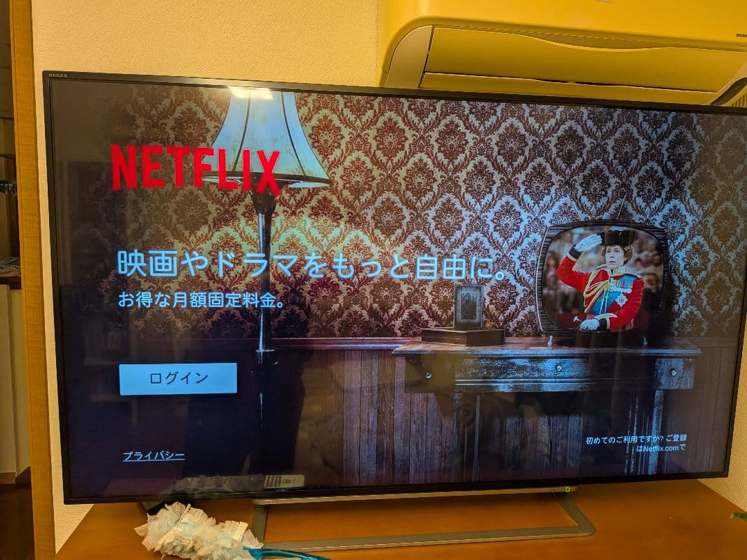 TOSHIBA REGZA 55G20X 55V型＆1tbHD＆fireTV付き