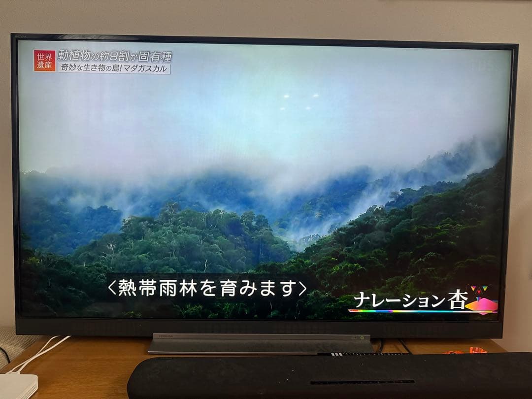 【美品】TOSHIBA液晶テレビ　55BZ710X