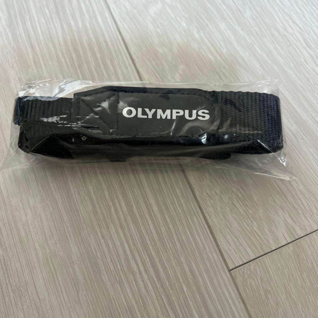 ✨美品✨Olympus PEN Mini E-PM2