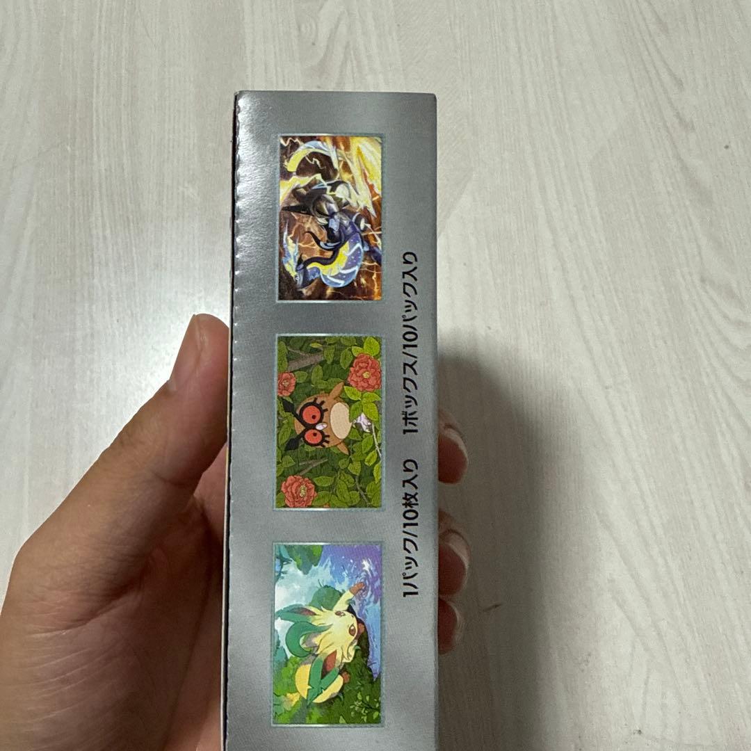 ポケモンカードゲーム テラススタルフェスEX 10パック入り