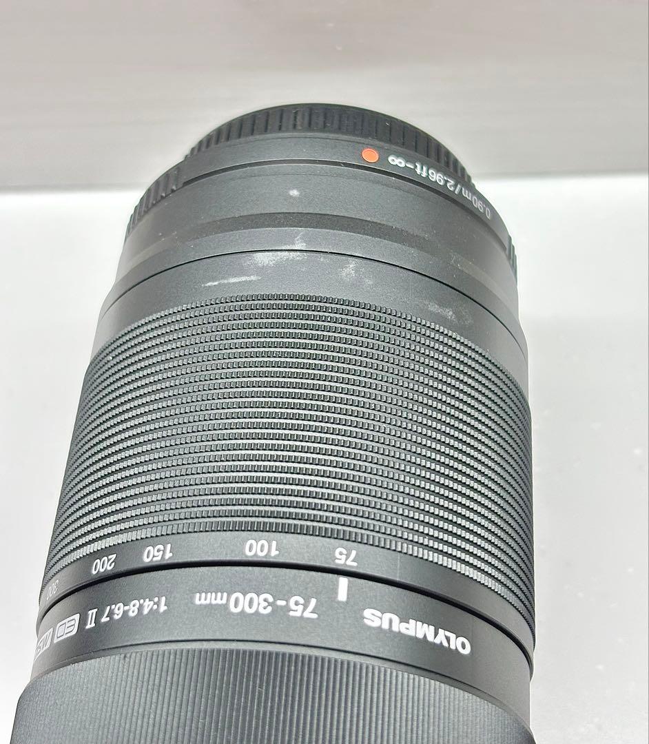 【レンズ3点】オリンパス E-M10MarkⅡ Wズーム＋75-300mmセット