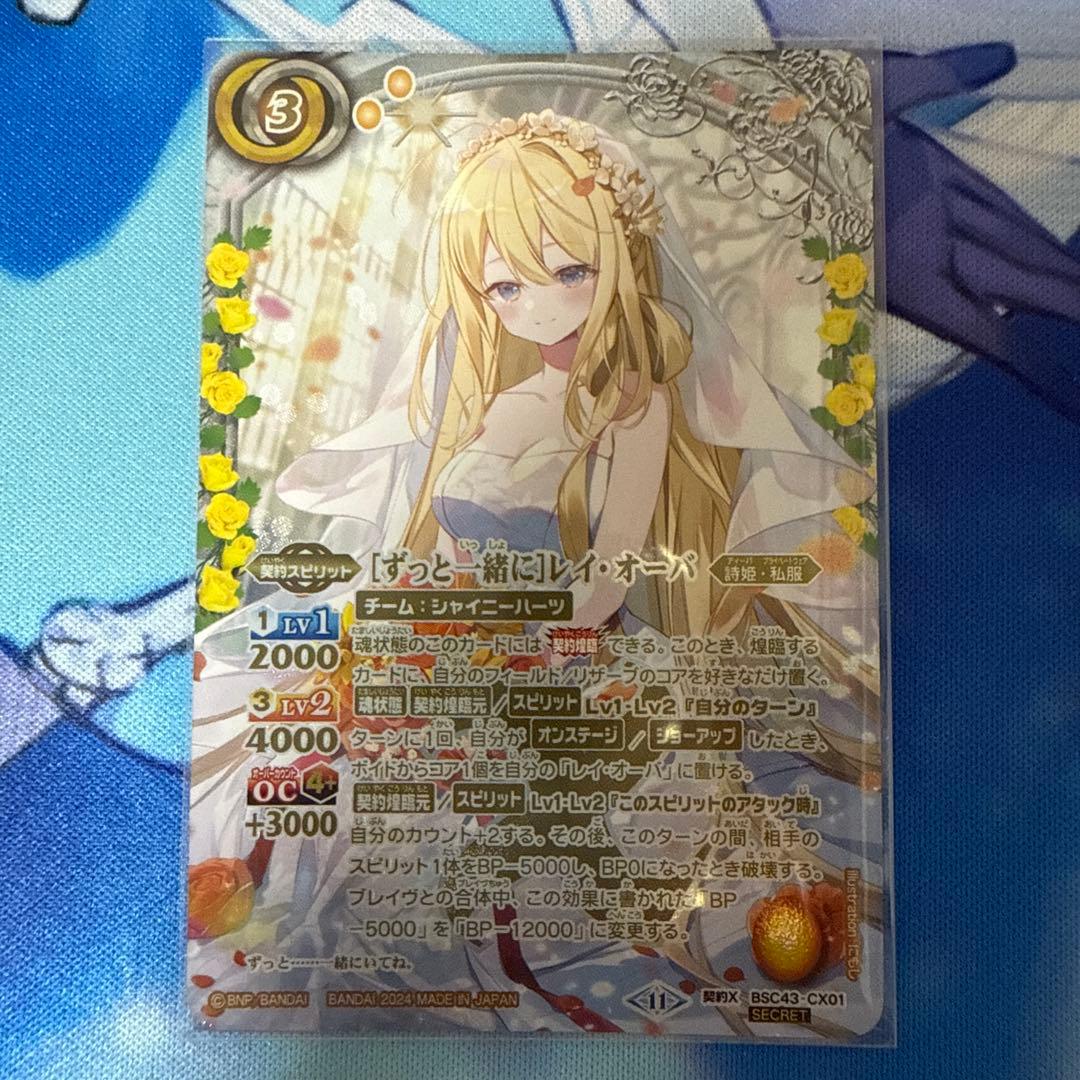 ［ずっと一緒に］レイ・オーバ　シークレット