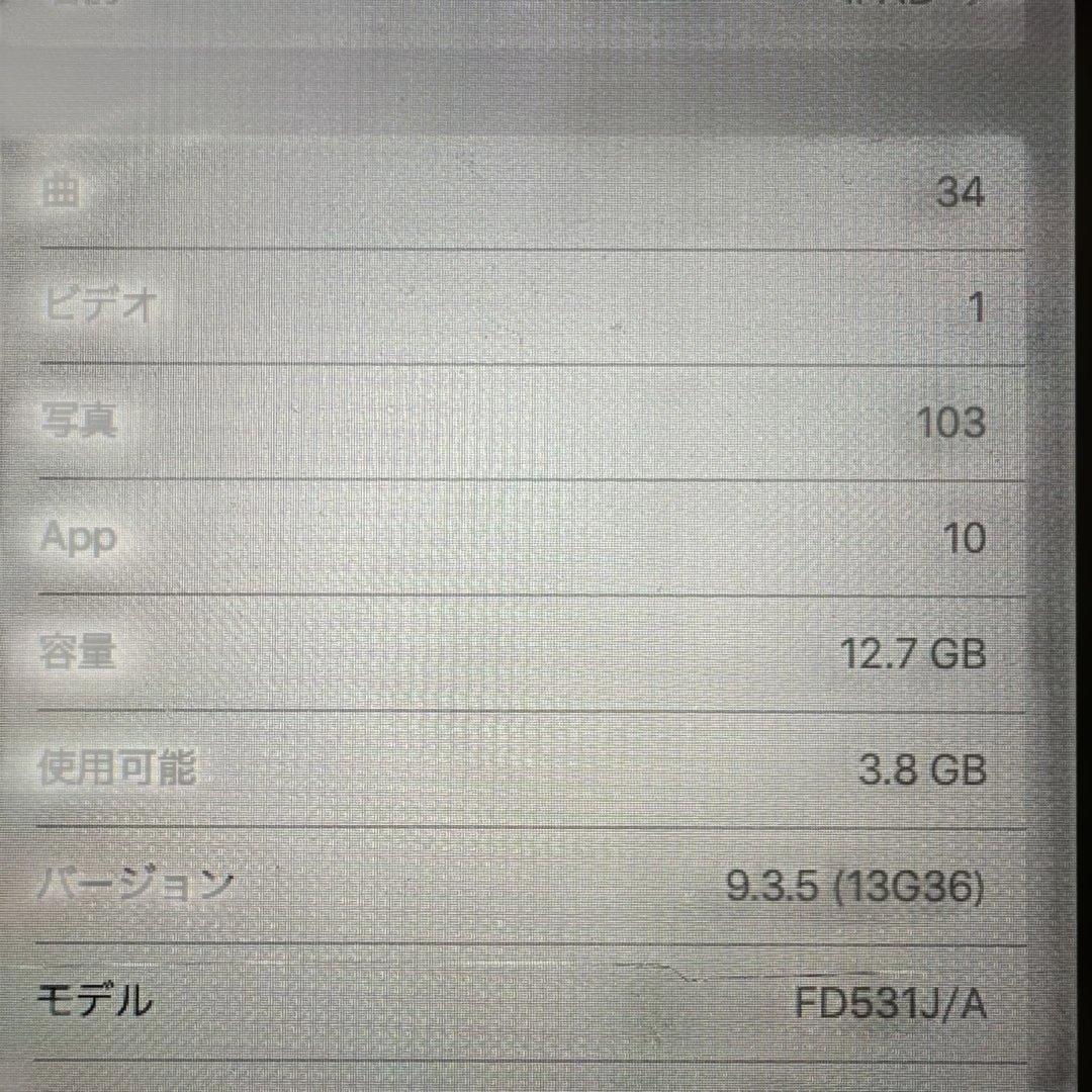 Apple iPad mini ケース付き