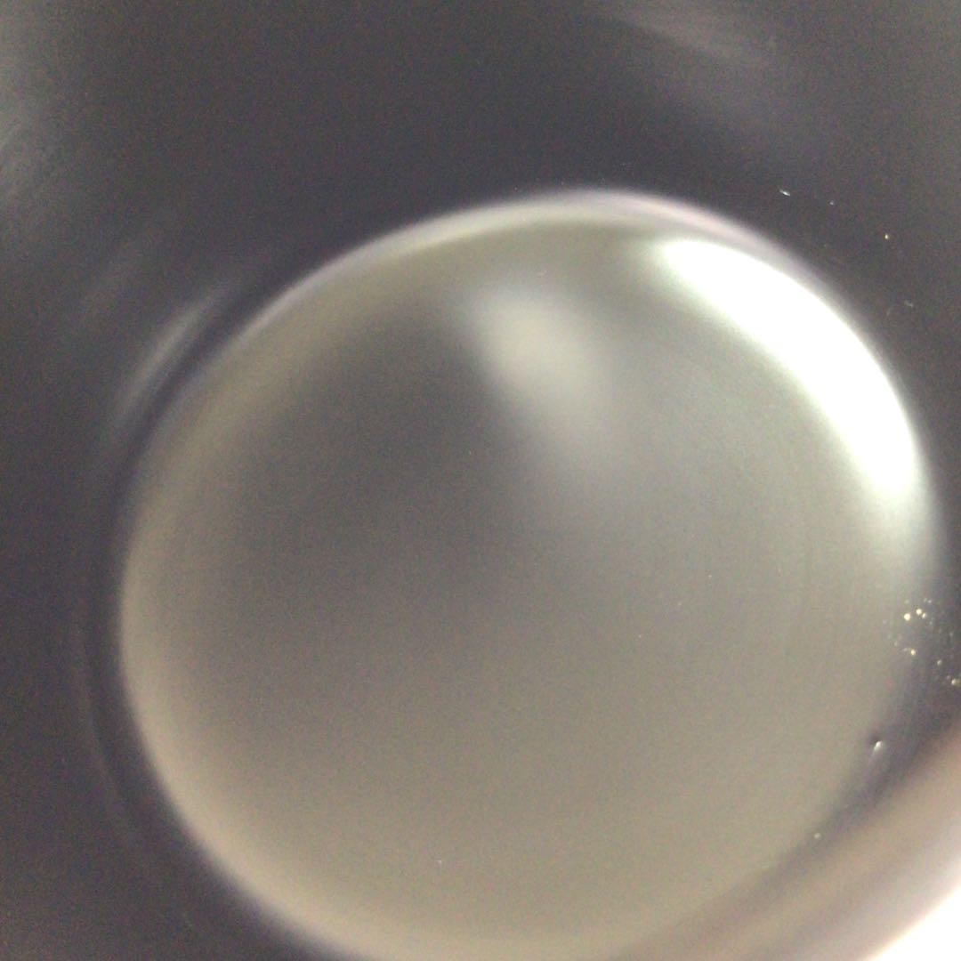 Ｒ３２９　棗　『前端春斎作』『草木蒔絵』『雪吹棗』　共箱　茶道具