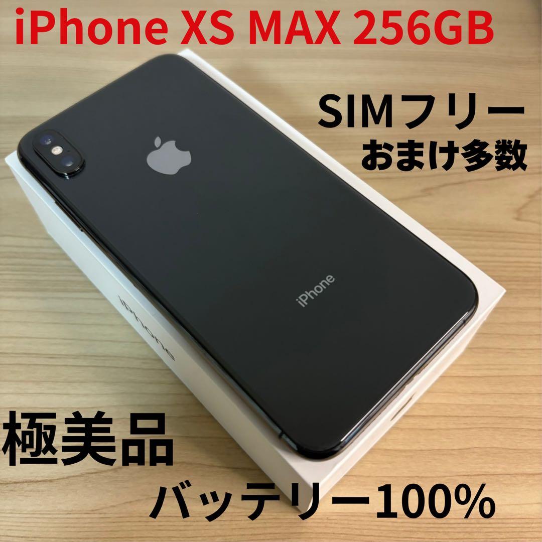 【極美品】iPhone XS MAX 256GB SIMフリー