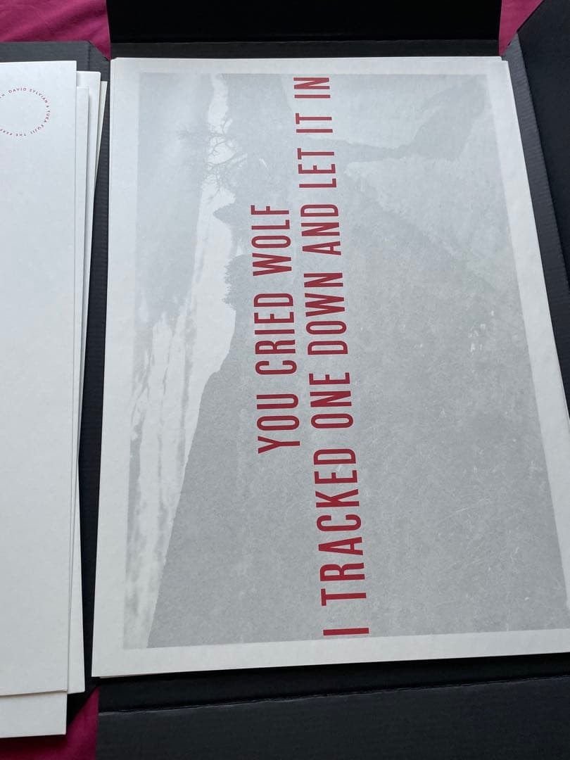 David Sylvian The Perfume of Wealth　サイン付