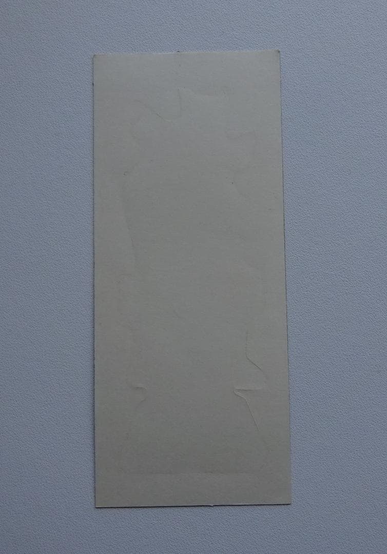 【コスモス？】聖闘士星矢 ジャガー カードダス