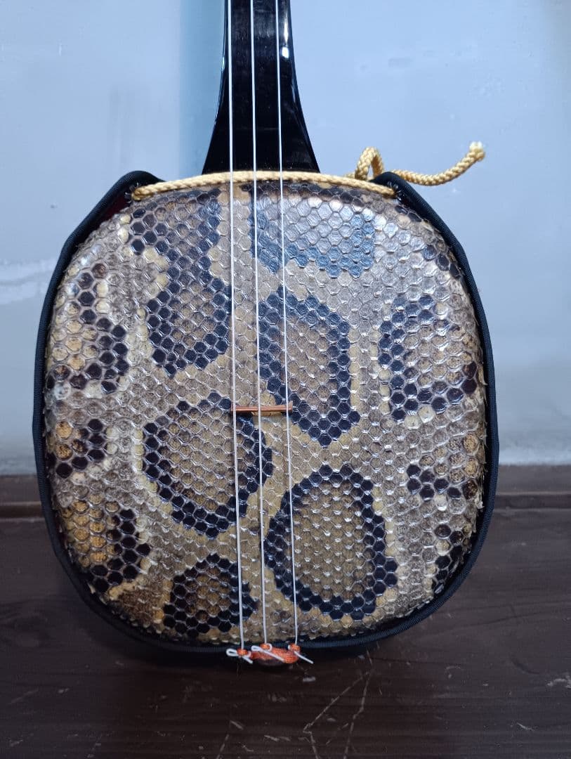 沖縄 三線 本体 ケース付 蛇皮 胴巻uティーガー付