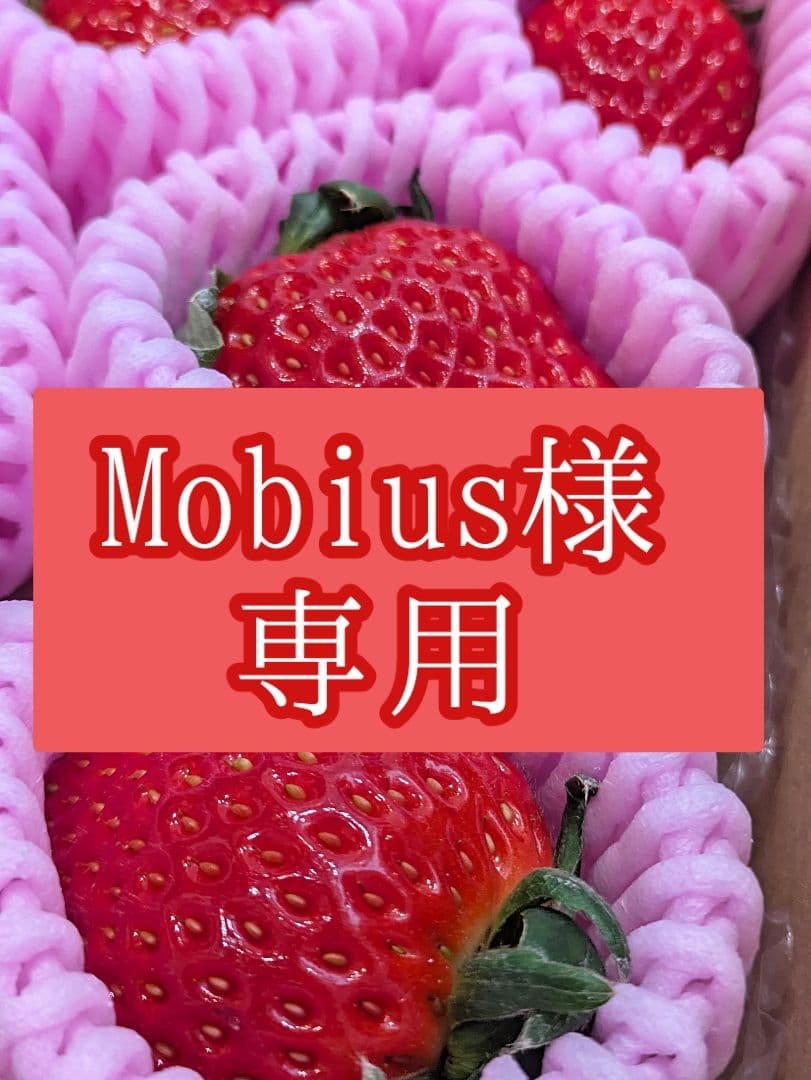 Mobius♡スターナイト♡すず♡おいCベリー♡星うらら♡４Ｌサイズ♡