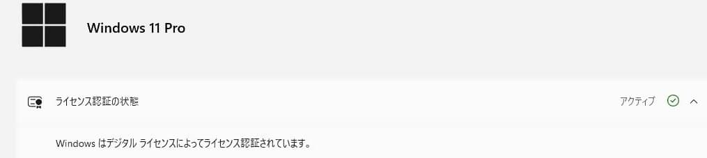 ThinkPad L590 Corei5 8GB SSD256GB win11㉒