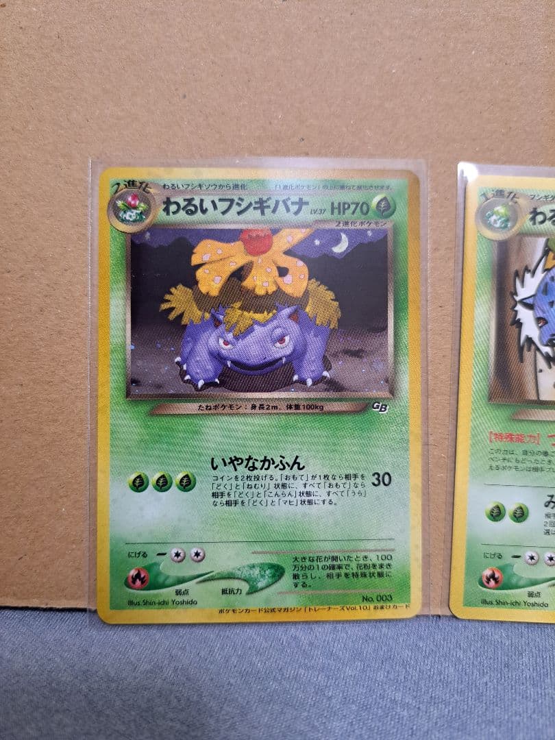 わるいフシギソウ＆わるいフシギバナ