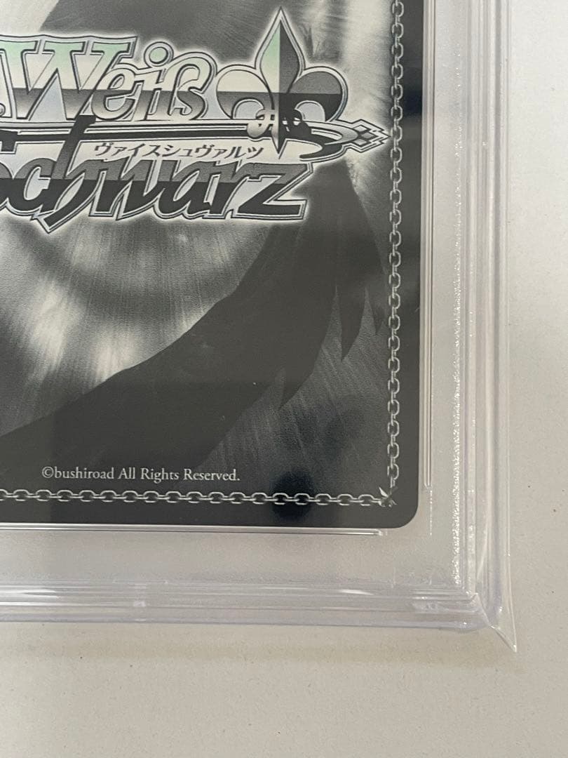 心理掌握 食蜂 sp psa10