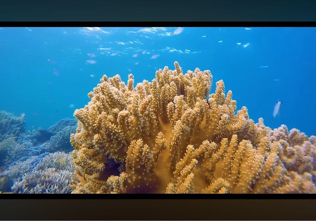 iPad Pro 11インチ 第2世代 バッテリー92% 良い