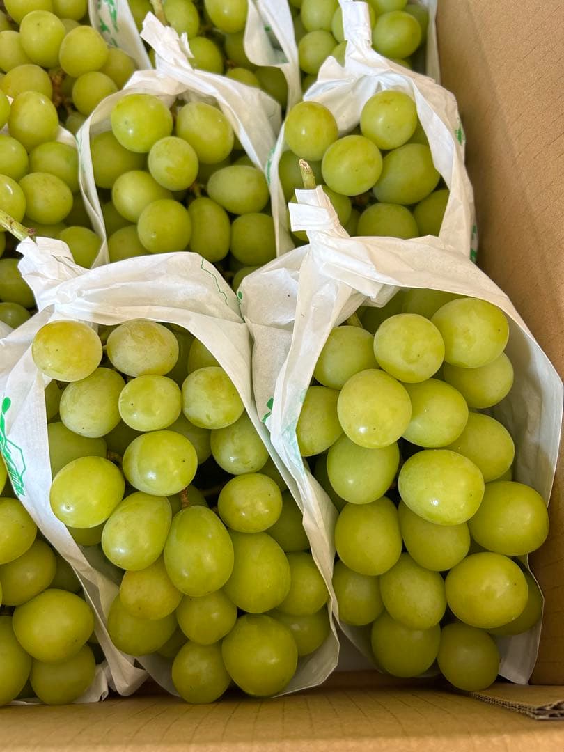 5-5 山梨県産　ぶどう　シャインマスカット 正味5キロ　家庭用