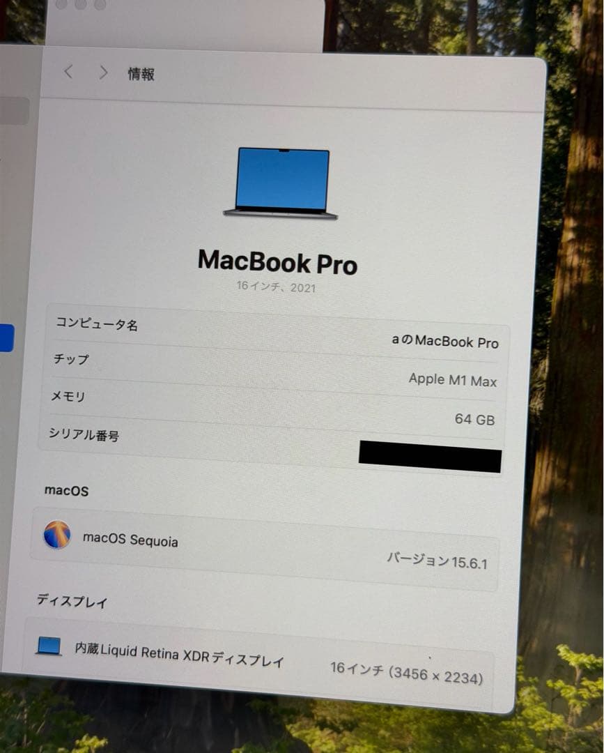 【M1 Max/64GB/4TB】MacBook Pro 16インチ 2021