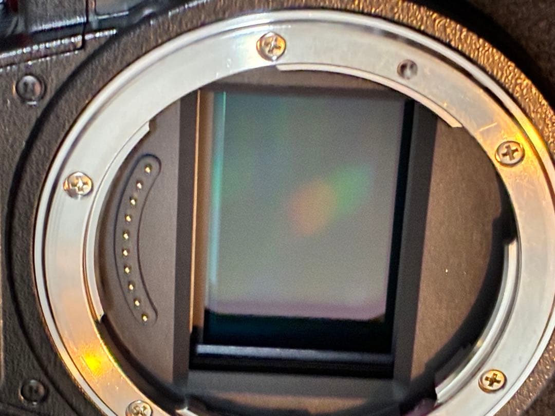 パナソニック LUMIX S5Ⅱ (DC-S5M2ボディ)