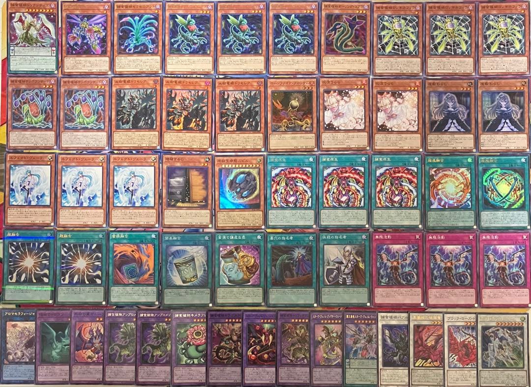 捕食植物 プレデタープランツ デッキ 遊戯王 Predaplant deck b
